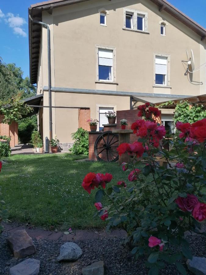 Monteurunterkunft Maria Freital Exterior photo